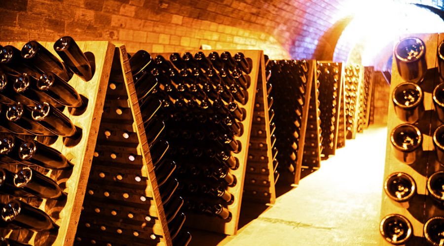 champagne bottles in a cellar